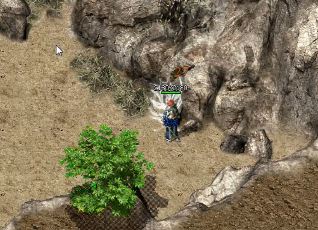 1.80���Ŵ����е�����ְҵ��װ���Ĵ�