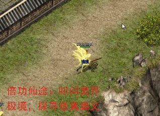 ������;��ߵ����缫����̽Ѱ�������