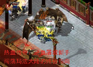��Ѫ���棺��Ѫ�������ִ����귨��½���ռ�ָ��