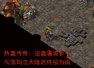 ��Ѫ���棺��Ѫ�������ִ����귨��½���ռ�ָ��