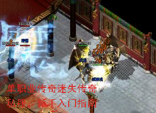 ��ְҵ������ʧ����˽������������ָ��