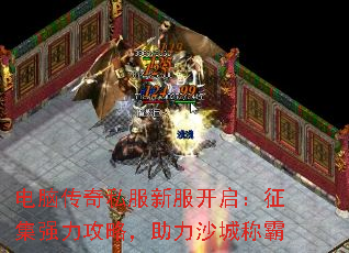 ���Դ���˽���·�����������ǿ�����ԣ�����ɳ�ǳư�