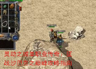 �鶯֮�ǵ�ְҵ���棺��սɳ�Ϳ�֮�۷幥��ָ��