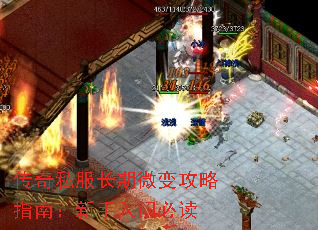 ����˽������΢�乥��ָ�ϣ��������űض�