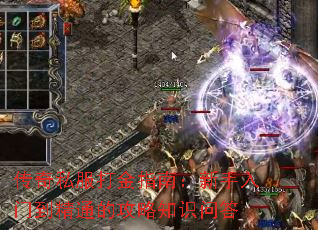 ����˽�����ָ�ϣ��������ŵ���ͨ�Ĺ���֪ʶ�ʴ�