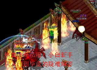 热血传奇私服:小白新手从入门到毕业的疑难解答 热血传奇私服:小白新手从入门到毕业的疑难解答