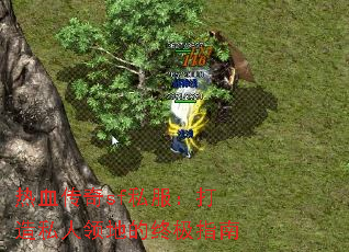 ��Ѫ����sf˽��������˽����ص��ռ�ָ��