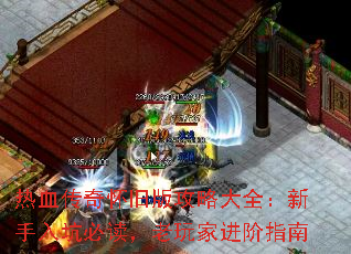 ��Ѫ���滳�ɰ湥�Դ�ȫ��������ӱض�������ҽ���ָ��