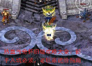 ��Ѫ���滳�ɰ湥�Դ�ȫ��������ӱض�������ҽ���ָ��