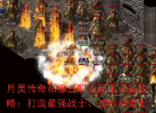 ���鴫��˽����ְҵ���ֱر����ԣ�������ǿսʿ����ʦ�͵�ʿ
