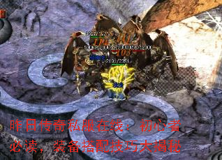 ���մ���˽�����ߣ������߱ض���װ�����似�ɴ����