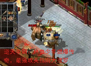 �������ԣ���Ѫ����ȼ�����棬��ǿ����ָ�ϴ�����