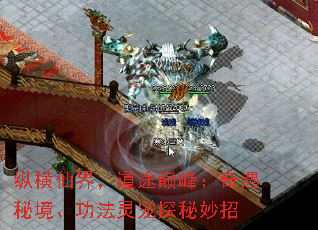 纵横仙界,道途巅峰:奇遇秘境、功法灵宠探秘妙招 纵横仙界,道途巅峰:奇遇秘境、功法灵宠探秘妙招