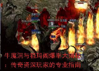 ţħ����������ʴ���أ�����������ҵ�רҵָ��