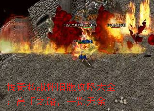 ����˽�����ɰ湥�Դ�ȫ������֮·��һ������