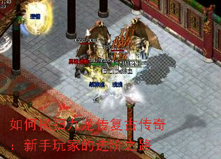 ��κ�ɨ���������Ŵ��棺������ҵĽ���֮·