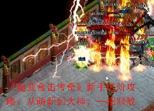 ������ϻ����桷���ֽ��׹��ԣ������µ�����һ���Ƶ�