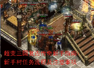 �����������Ŵ�������ָ�ϣ����ִ��������̼�ע������
