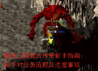 �����������Ŵ�������ָ�ϣ����ִ��������̼�ע������