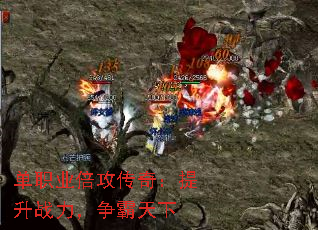 ��ְҵ�������棺����ս������������