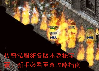 ����˽��SF���汾���ر��أ����ֱؿ�������ָ��