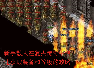 ����ɢ���ڸ��Ŵ����п��ٻ�ȡװ���͵ȼ��Ĺ���