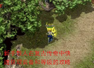 ����ɢ���ڸ��Ŵ����п��ٻ�ȡװ���͵ȼ��Ĺ���