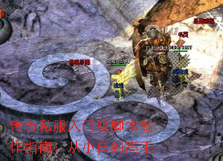 ����˽�����ż��ű�����ָ�ϣ���С�׵�����