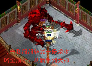����˽��������һ��������ȫ�����������ֵ�����