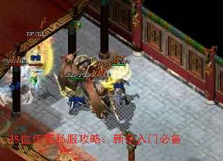 ��Ѫ����˽�����ԣ��������űر�