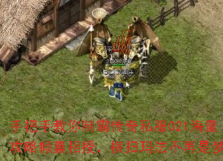 手把手教你制霸传奇私服021海量攻略倾囊相授,横扫玛法不再是梦 手把手教你制霸传奇私服021海量攻略倾囊相授,横扫玛法不再是梦