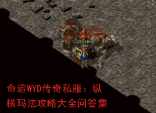 ����WYD����˽�����ݺ��귨���Դ�ȫ�ʴ�