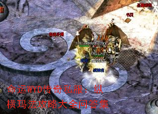 ����WYD����˽�����ݺ��귨���Դ�ȫ�ʴ�