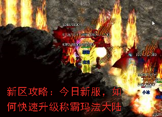 新区攻略:今日新服,如何快速升级称霸玛法大陆 新区攻略:今日新服,如何快速升级称霸玛法大陆