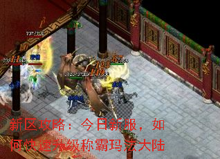 新区攻略:今日新服,如何快速升级称霸玛法大陆 新区攻略:今日新服,如何快速升级称霸玛法大陆