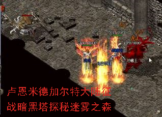¬���׵¼Ӷ��ش�½��ս������̽������֮ɭ