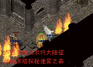 ¬���׵¼Ӷ��ش�½��ս������̽������֮ɭ