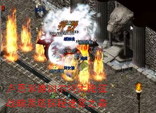 ¬���׵¼Ӷ��ش�½��ս������̽������֮ɭ