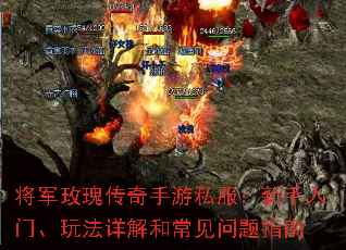 ����õ�崫������˽�����������š��淨���ͳ�������ָ��