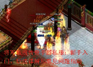 ����õ�崫������˽�����������š��淨���ͳ�������ָ��