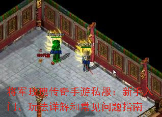 ����õ�崫������˽�����������š��淨���ͳ�������ָ��