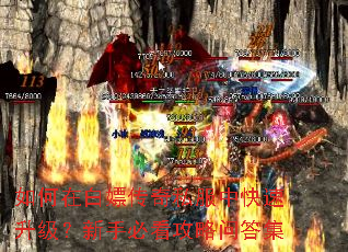 如何在白嫖传奇私服中快速升级?新手必看攻略问答集 如何在白嫖传奇私服中快速升级?新手必看攻略问答集