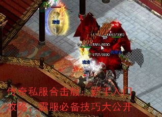 ����˽���ϻ��棺�������Ź��ԣ��Է��ر����ɴ󹫿�