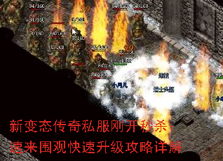 �±�̬����˽���տ���ɱ������Χ�ۿ��������������