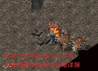 �±�̬����˽���տ���ɱ������Χ�ۿ��������������