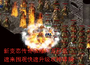 �±�̬����˽���տ���ɱ������Χ�ۿ��������������