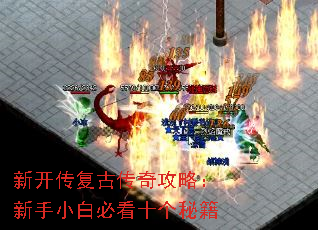 �¿������Ŵ��湥�ԣ�����С�ױؿ�ʮ���ؼ�