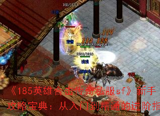 ��185Ӣ�ۺϻ�����˽��sf�����ֹ��Ա��䣺�����ŵ���ͨ�Ľ���ָ��