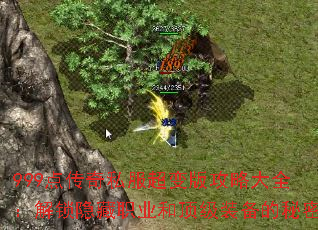 999�㴫��˽������湥�Դ�ȫ����������ְҵ�Ͷ���װ��������