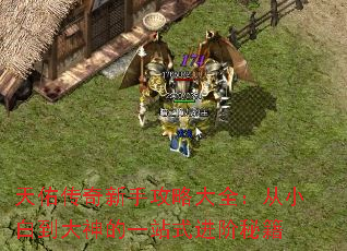 天佑传奇新手攻略大全:从小白到大神的一站式进阶秘籍 天佑传奇新手攻略大全:从小白到大神的一站式进阶秘籍
